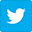 Twitter Icon/Link